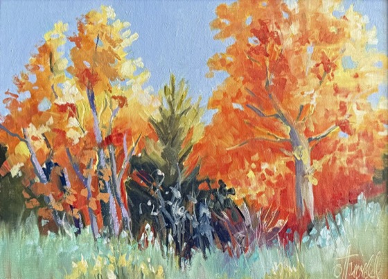 Fall Aspens, Eastern Sierra, oil on linen, 12 × 16 — a painting by Penny Otwell of a grove of orange and gold aspens against a pale autumn sky.