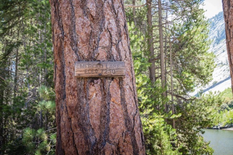 A weathered trail sign — "Merced Lake, Elev 7250" — on a pine along the lakeshore trail.