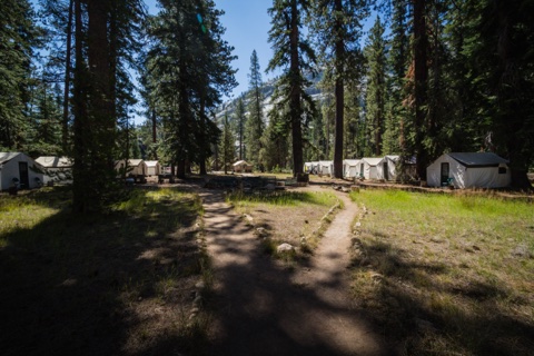 A footpath forking through camp between the guest tents.