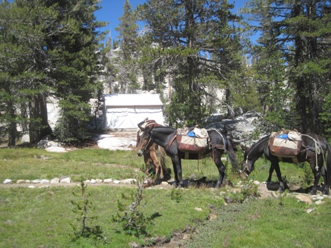 Loaded mules pause by a guest tent below the granite.