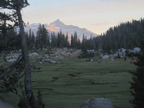Evening settling over the meadow, the last light on the high peaks.