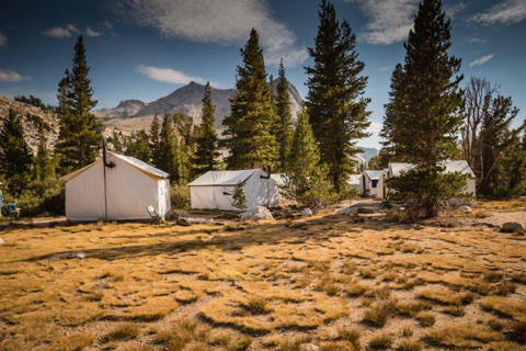 Tent cabins scattered among whitebark pines on the golden autumn meadow.