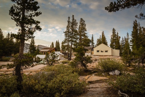 The camp's buildings among the whitebark pines at dusk.