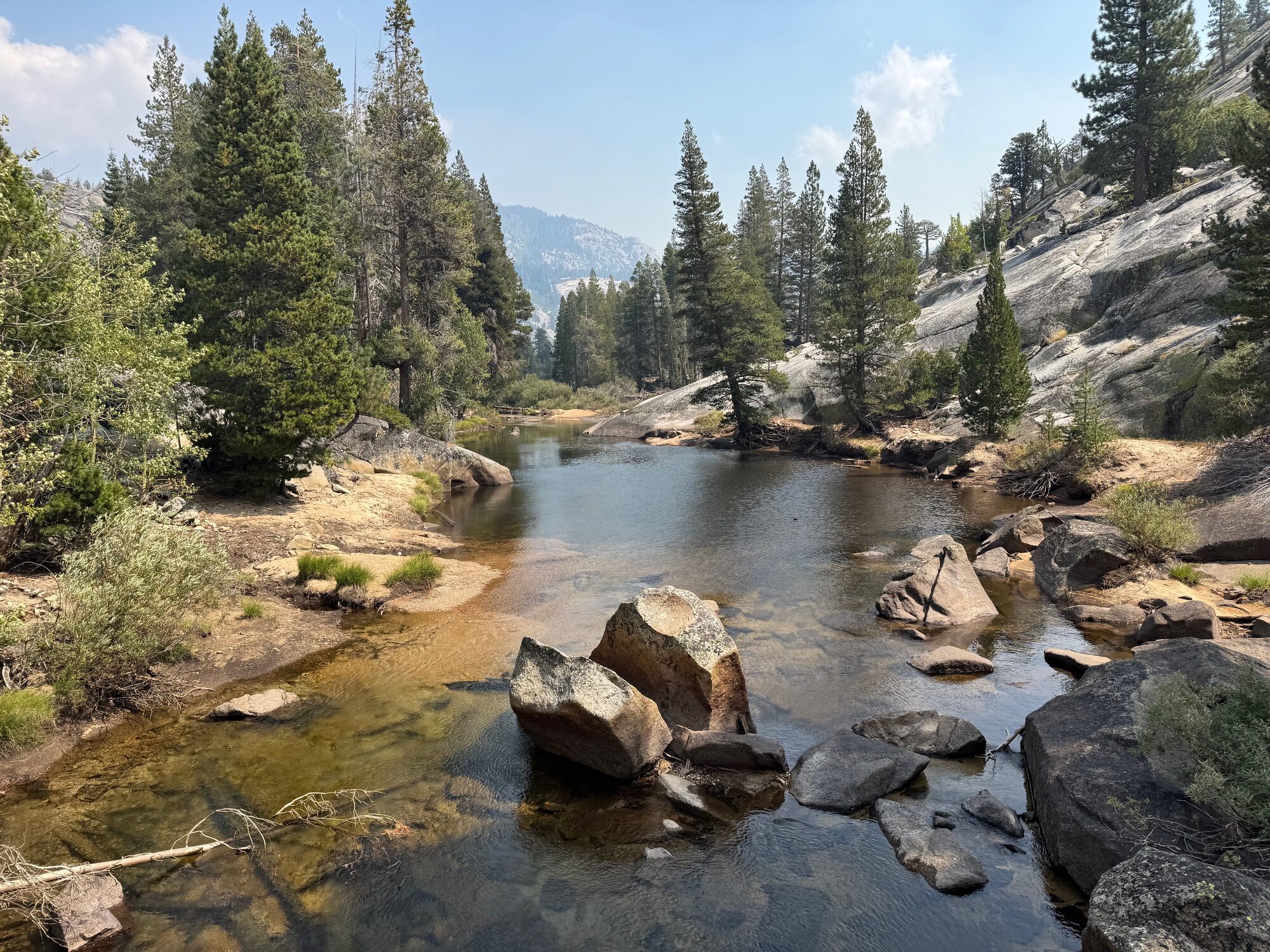 A quiet pool on a high-country river, boulders in the shallows and lodgepole pines along the banks