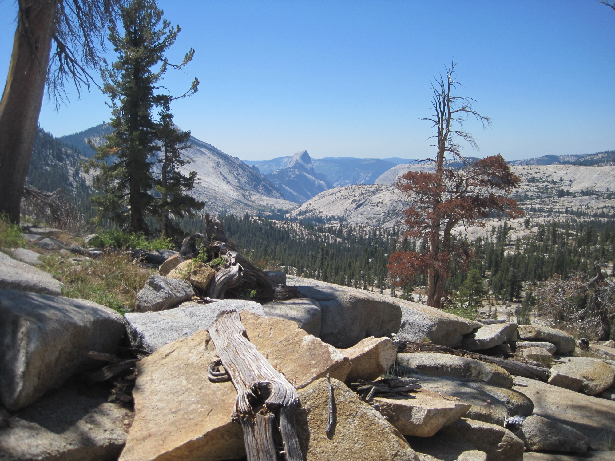 Half Dome seen from the north rim, a fallen log on sunlit granite slabs in the foreground