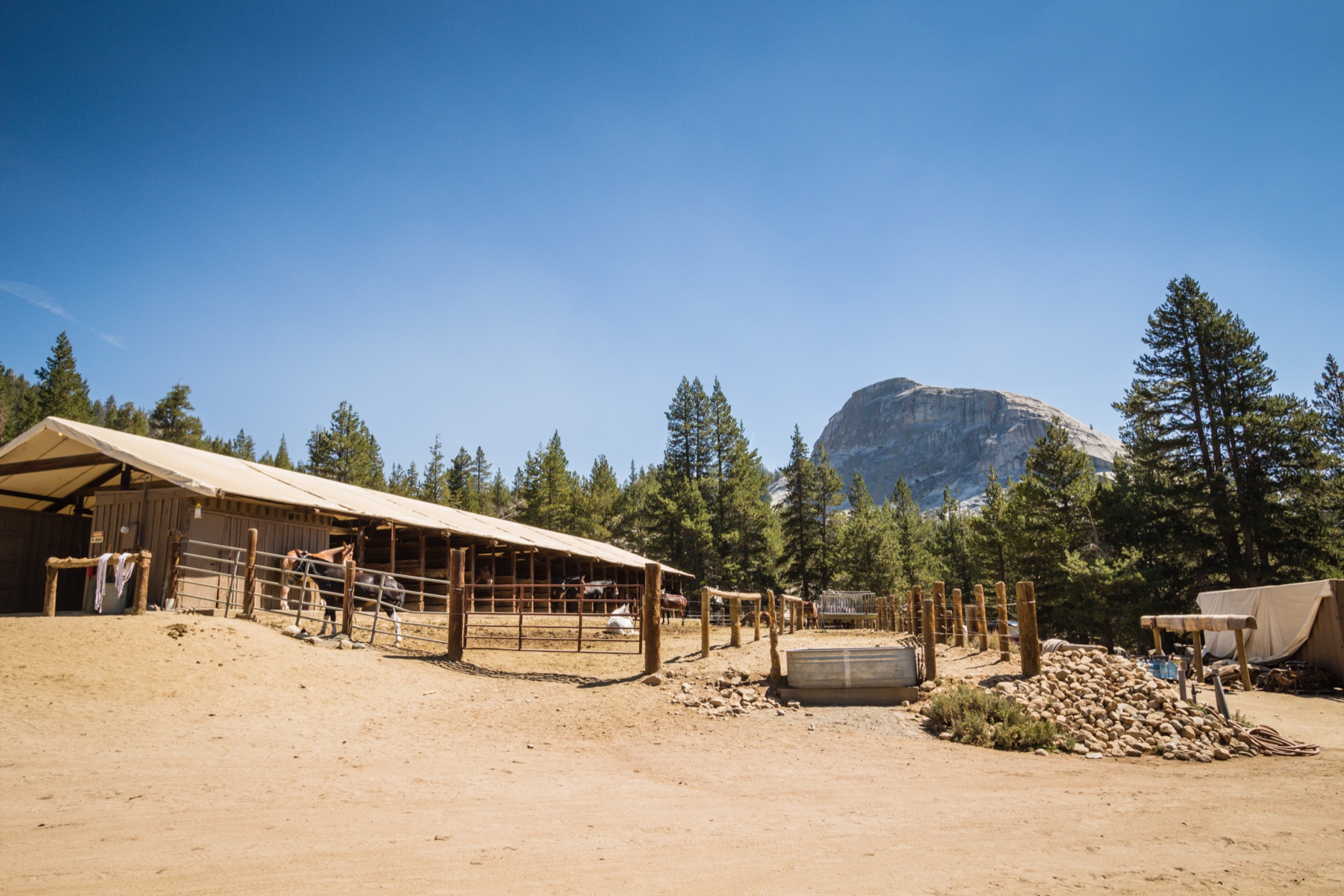 The Tuolumne Meadows stable — stock in the open barn, corral fences, and Lembert Dome rising behind