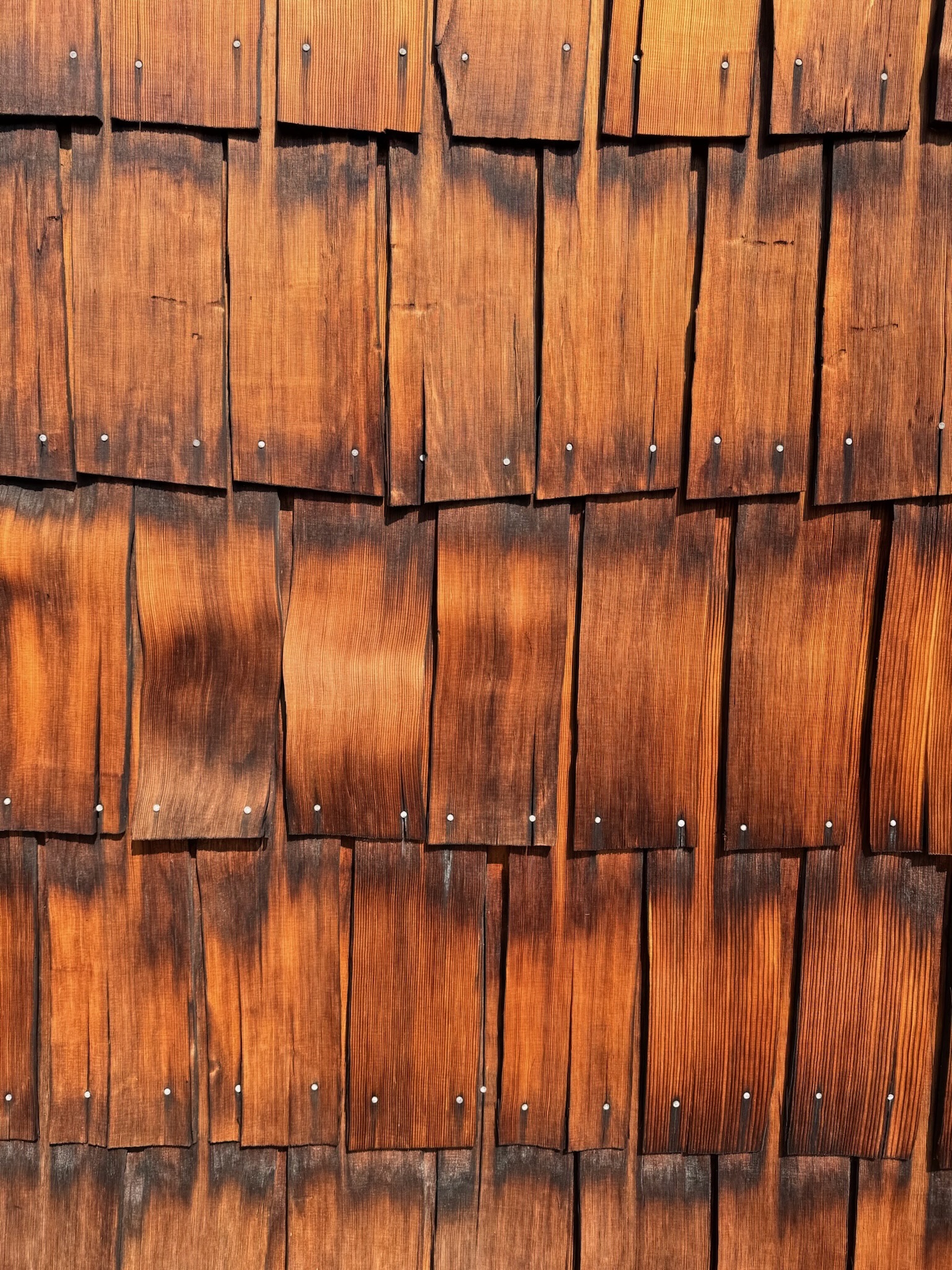 Sunlit weathered cedar shingle siding on a High Sierra Camp building